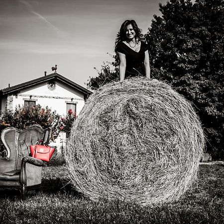 Agriturismo Parco Campofelice Lombardore Dış mekan fotoğraf