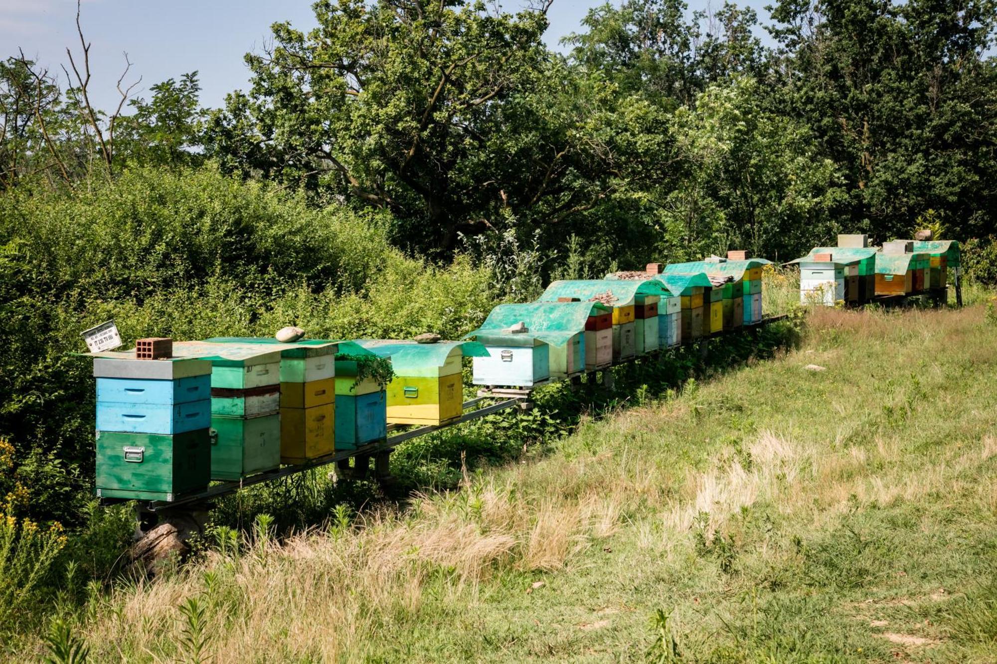Agriturismo Parco Campofelice Lombardore Dış mekan fotoğraf