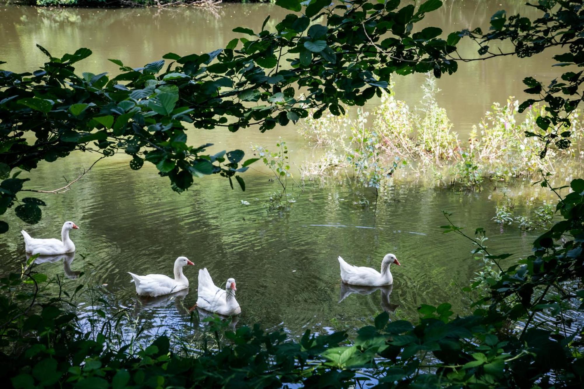 Agriturismo Parco Campofelice Lombardore Dış mekan fotoğraf