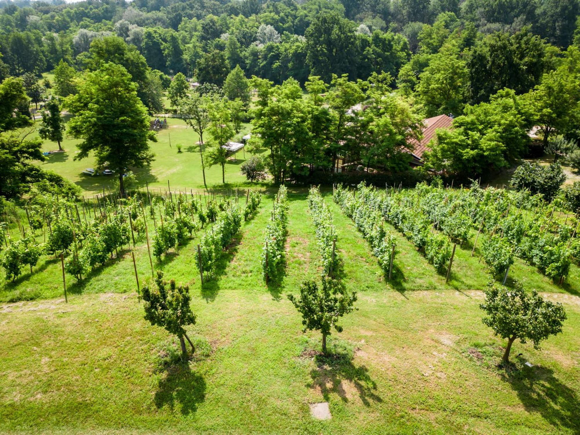 Agriturismo Parco Campofelice Bed & Breakfast Lombardore Dış mekan fotoğraf