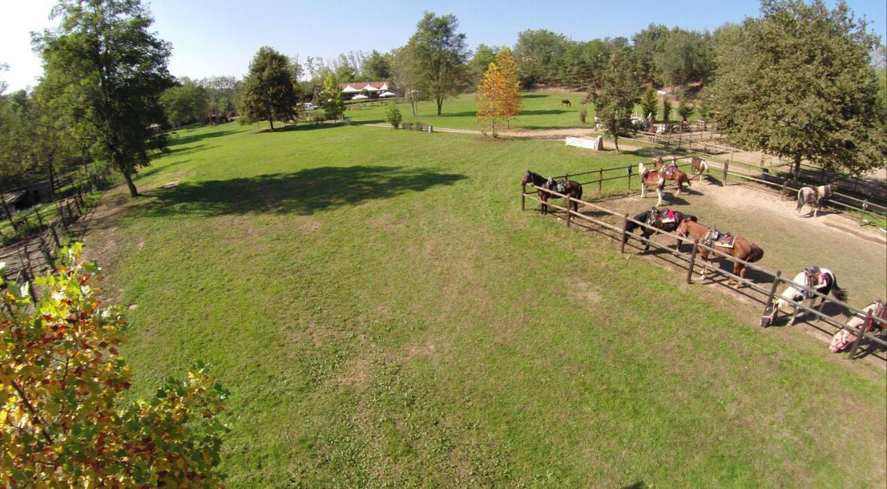 Agriturismo Parco Campofelice Bed & Breakfast Lombardore Dış mekan fotoğraf